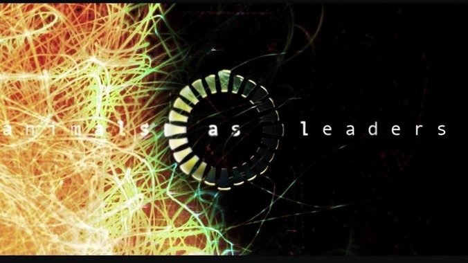 三只羊是不是被人做局了？