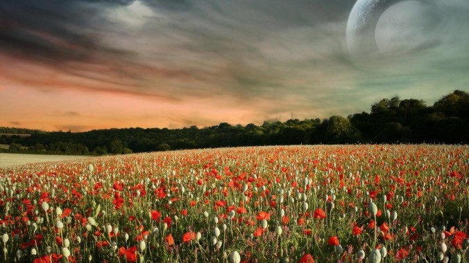 为何浏览器脚本语言是程序明文而非经编译的代码？